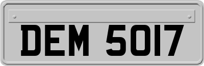 DEM5017