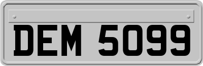 DEM5099