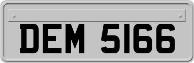 DEM5166