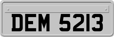 DEM5213
