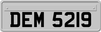 DEM5219