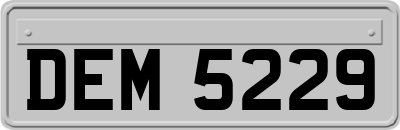 DEM5229