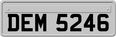 DEM5246