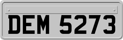 DEM5273