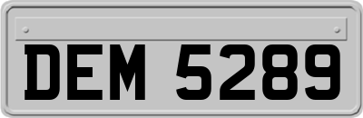 DEM5289