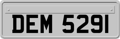 DEM5291