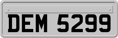 DEM5299