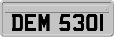 DEM5301