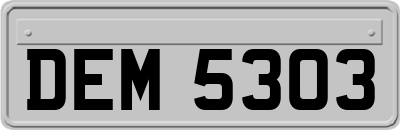 DEM5303