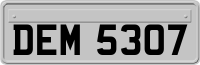 DEM5307