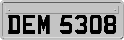 DEM5308