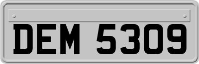 DEM5309