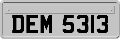 DEM5313