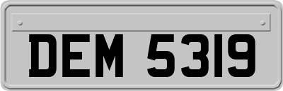 DEM5319