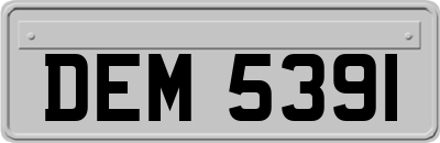 DEM5391