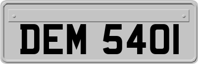 DEM5401