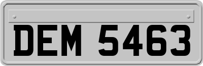 DEM5463