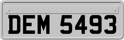 DEM5493