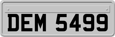 DEM5499