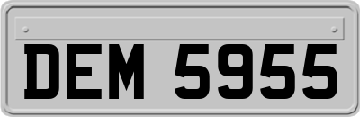 DEM5955