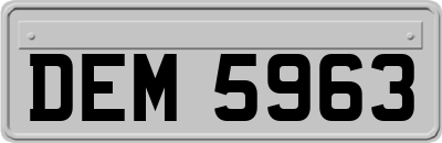DEM5963