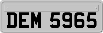 DEM5965