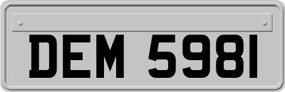 DEM5981