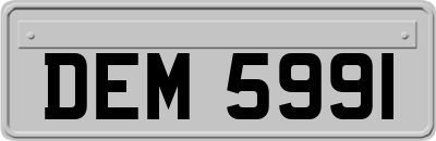 DEM5991