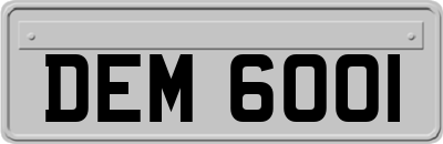 DEM6001