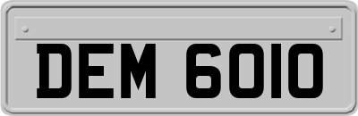 DEM6010