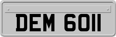 DEM6011