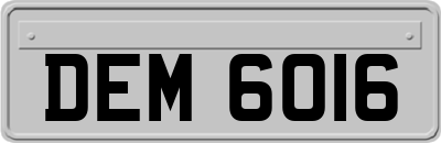 DEM6016