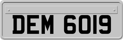DEM6019