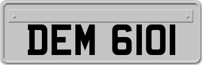DEM6101