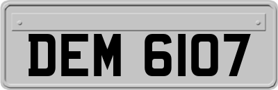 DEM6107