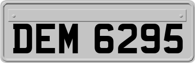 DEM6295
