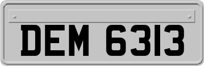 DEM6313