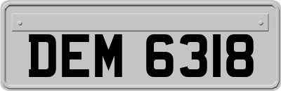 DEM6318