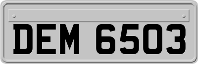 DEM6503