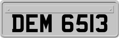 DEM6513