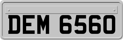 DEM6560