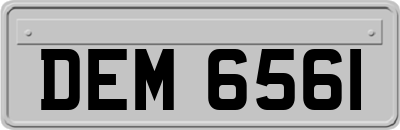DEM6561