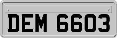 DEM6603