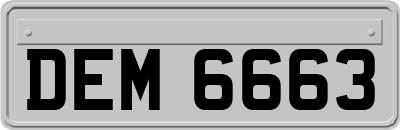 DEM6663