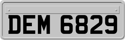 DEM6829