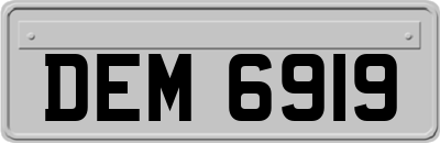 DEM6919