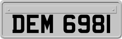 DEM6981
