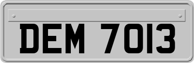 DEM7013
