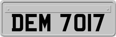 DEM7017