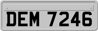 DEM7246